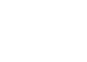 Asinis Logo White